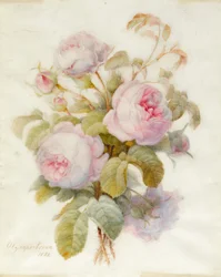 Bouquet de roses Centifolio, 1832